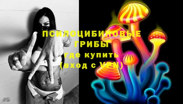 ALPHA PVP Нефтекумск