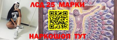 индика Гагарин