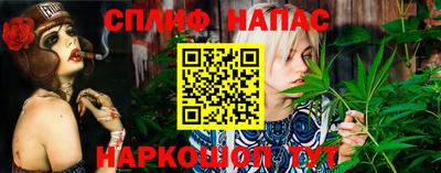 хмурый Гусь-Хрустальный