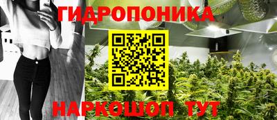 индика Гагарин