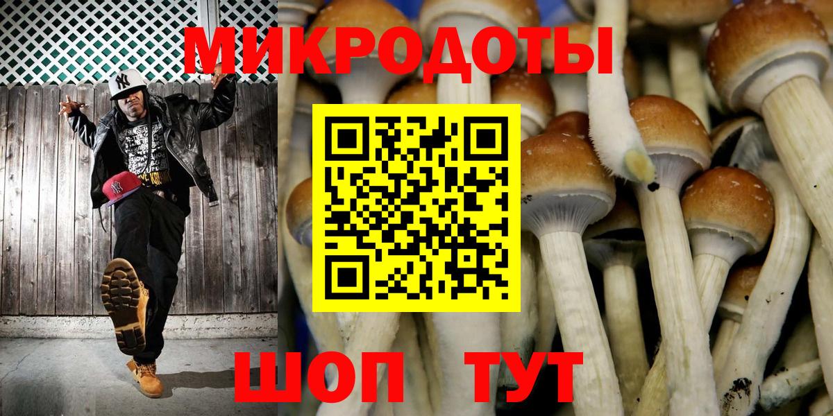 Галлюциногенные грибы GOLDEN TEACHER  Псилоцибиновые грибы прущие грибы  Кубинка 